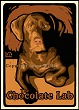 Chocolate Lab Print LWDPCL