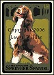 English Springer Spaniel Print LWDPESP