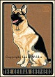 German Shepherd Print LWDPGS