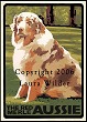 Red Merle Austrailian Shepherd Print LWDPRMA