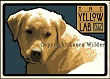 Yellow Lab Print LWDPYL