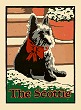 Scottie Christmas Card LWNCSCO